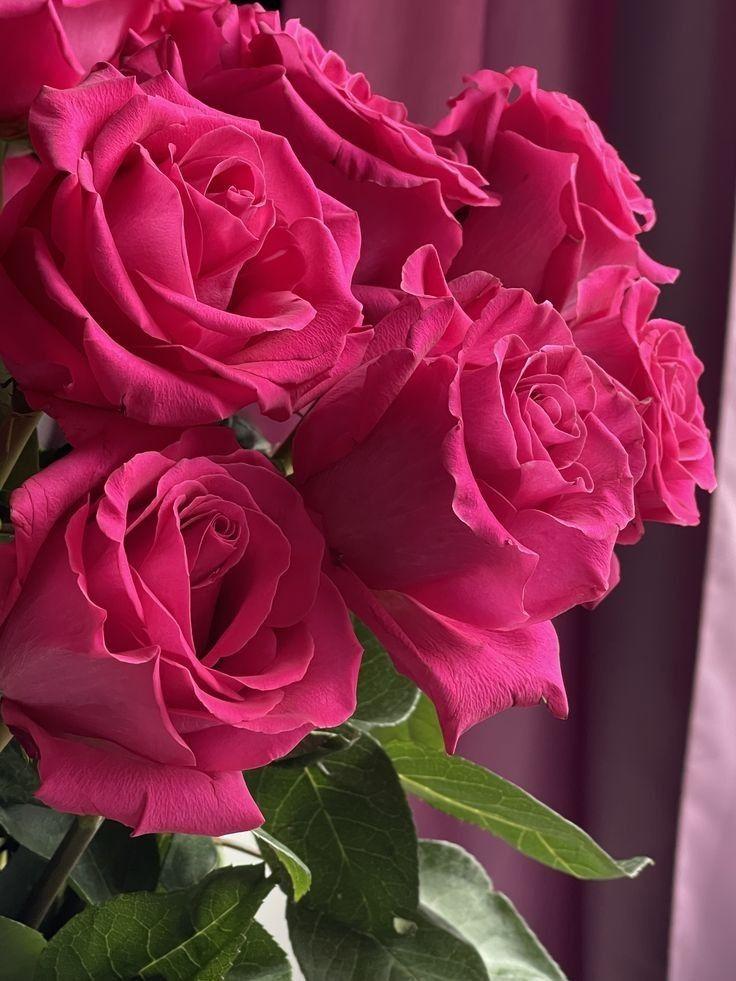 Enchanted Eve Floral Harmony